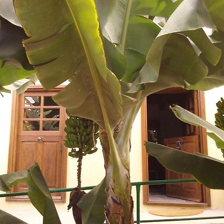 Casa Rural Llano Campo Hermigua Ngoại thất bức ảnh