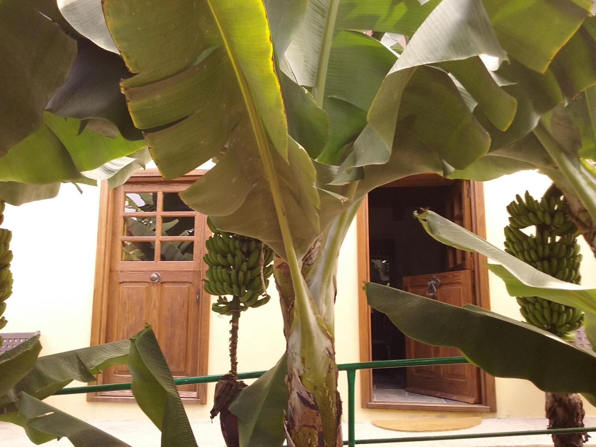 Casa Rural Llano Campo Hermigua Ngoại thất bức ảnh