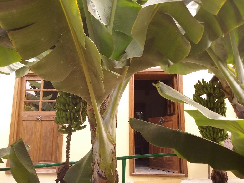 Casa Rural Llano Campo Hermigua Ngoại thất bức ảnh