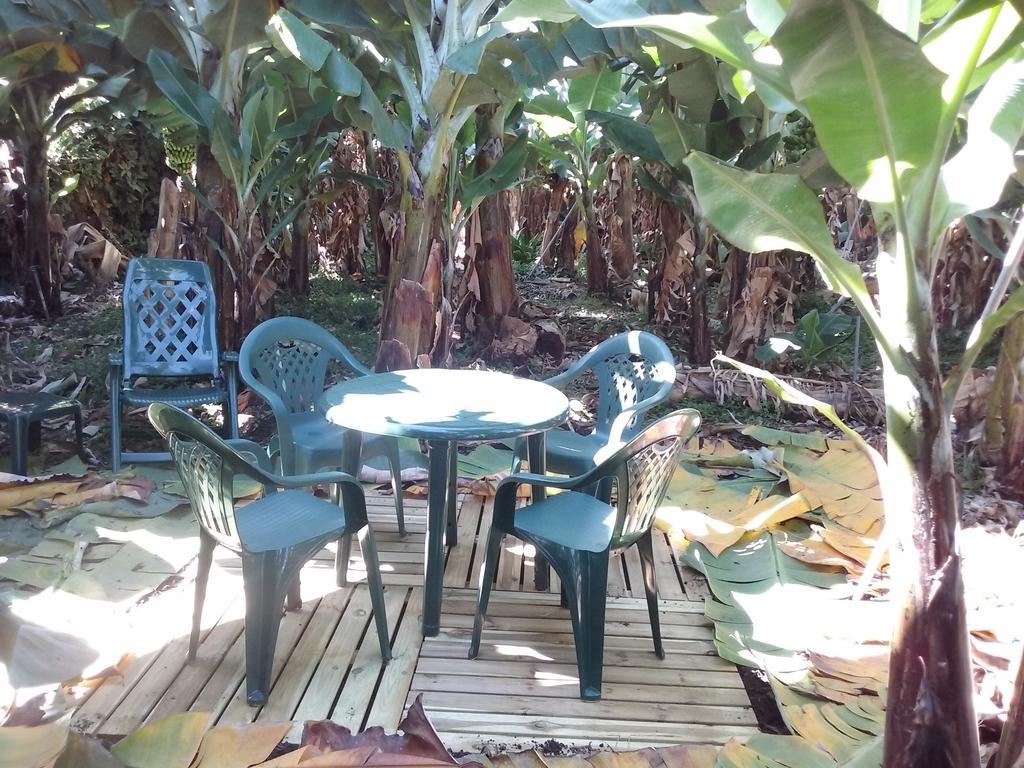 Casa Rural Llano Campo Hermigua Ngoại thất bức ảnh