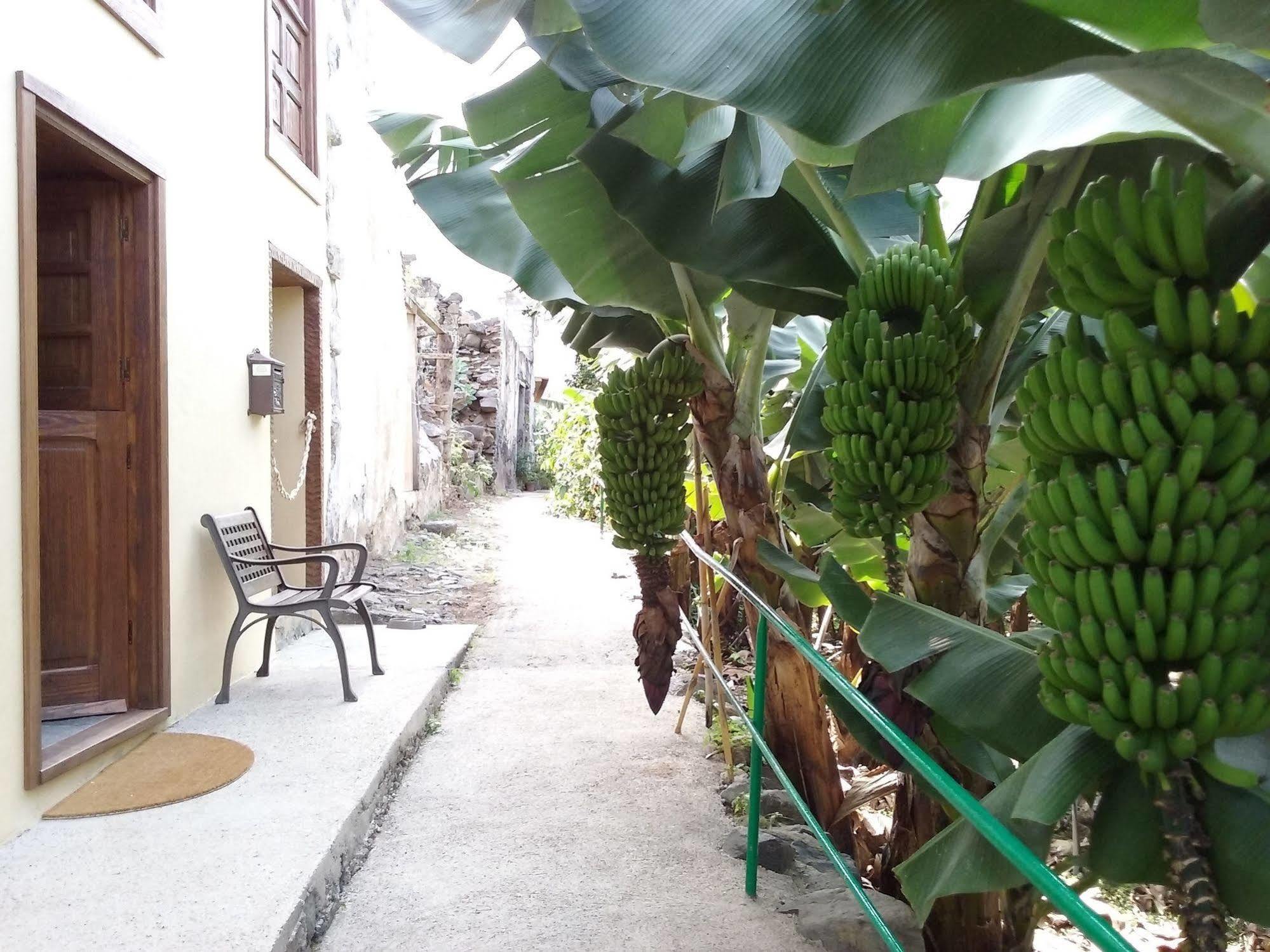 Casa Rural Llano Campo Hermigua Ngoại thất bức ảnh